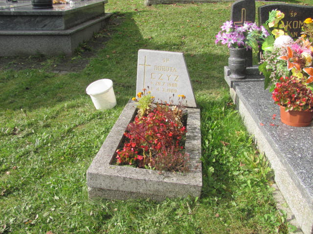 Grób Władysław Czyż