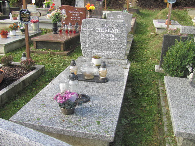 Grób Janina Procner